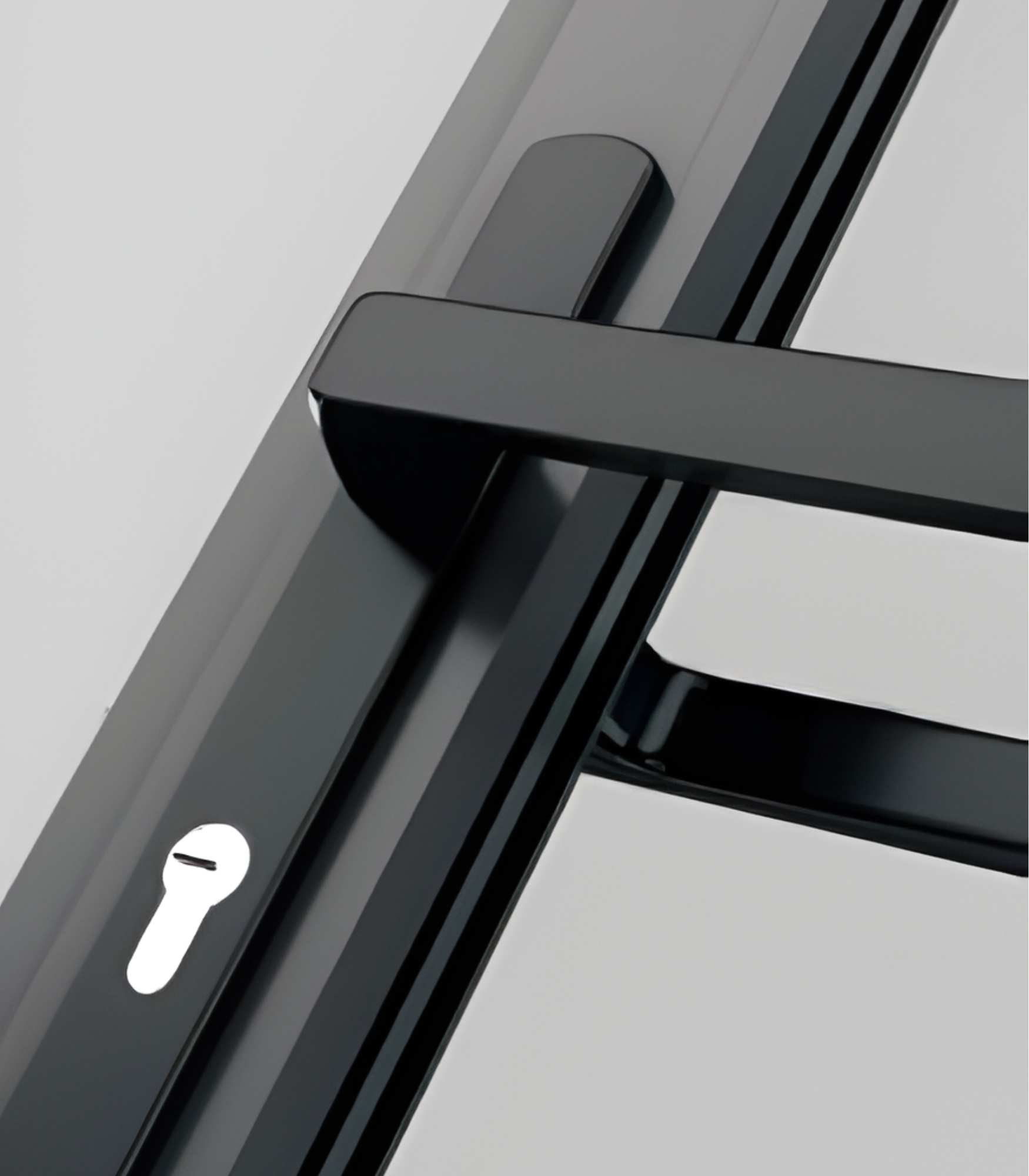 VLX 100 Swing / Entry Door in Miami Beach, FL | TruePane Windows & Doors - detail 3