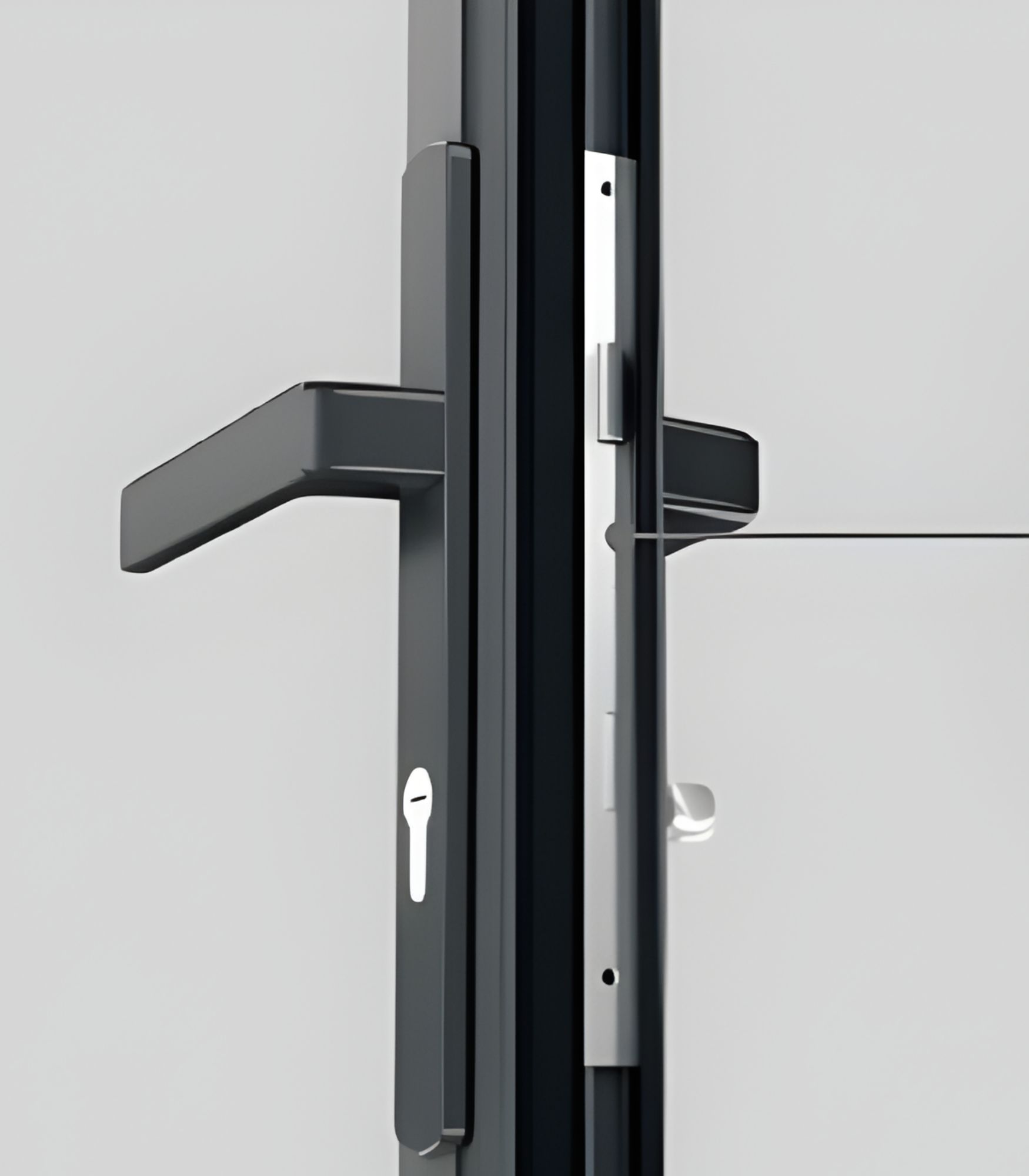 VLX 100 Swing / Entry Door in Miami Beach, FL | TruePane Windows & Doors - detail 5